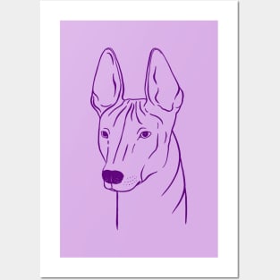 Xoloitzcuintli (Lilac and Purple) Posters and Art